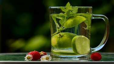 Detox Your Body And Build Your Immune System With Diet, Herbs And Supplements