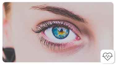 How does the Human Eye Work?