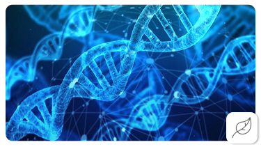 Basic genetics